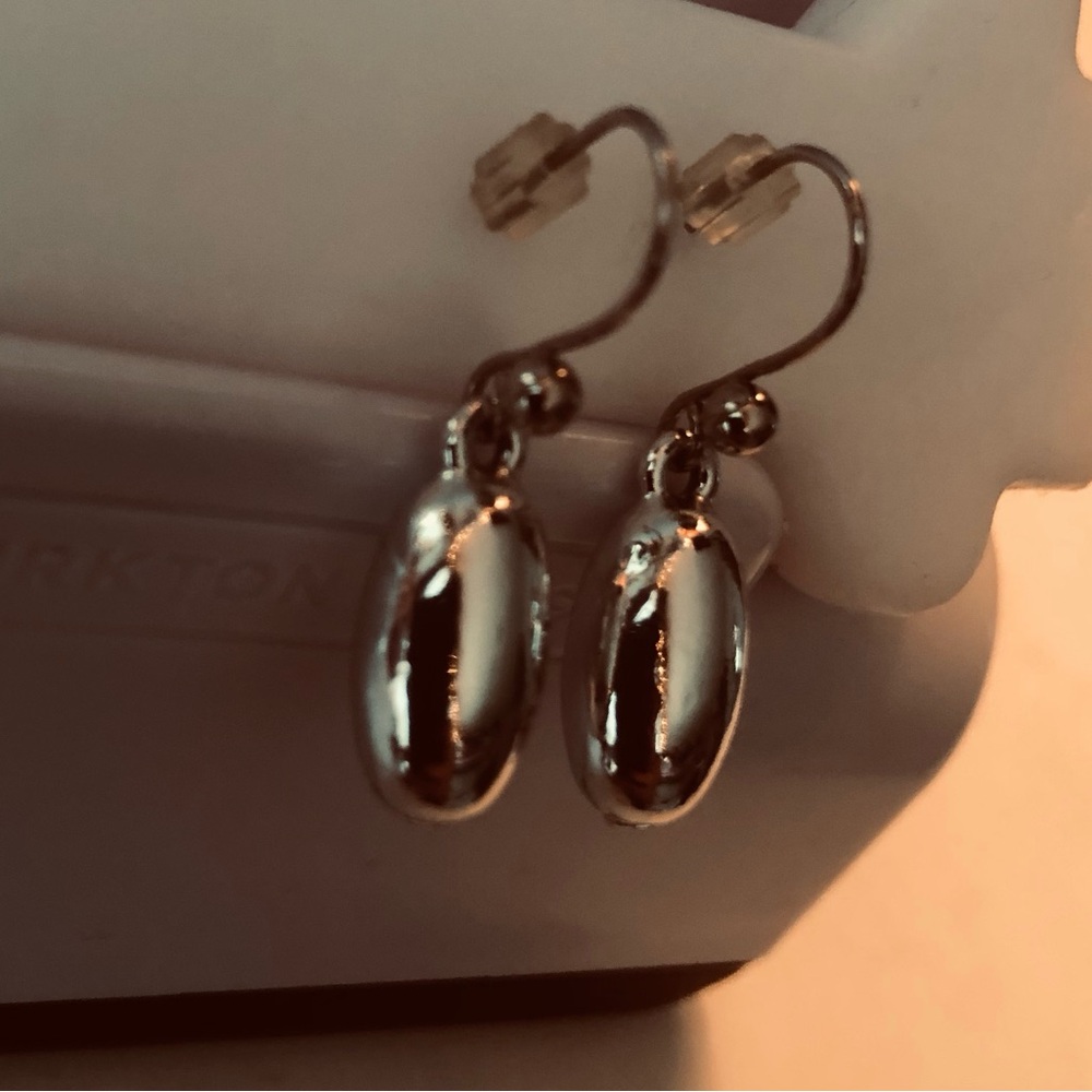 Elegant Silver Drop Earrings